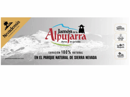 Diseño sin título (2)